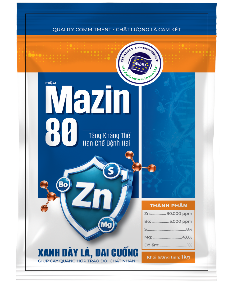 MAZIN 80