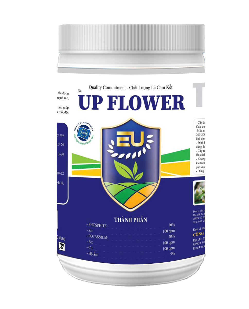 UP FLOWER